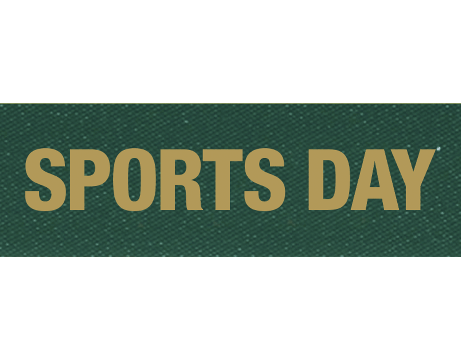 Green/Gold 25MM ‘Sports Day’ Ribbon Running Imp Running Imp